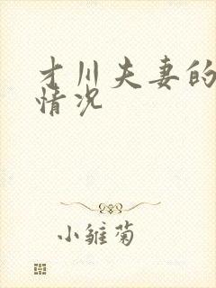 才川夫妻的恋爱情况