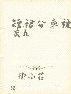 短裙公车被强好爽h封面