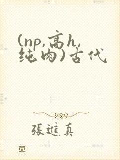 (np,高h,纯肉)古代封面