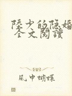 陆少的隐婚罪妻 全文阅读封面