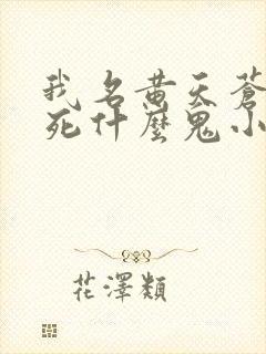我名黄天苍天已死什么鬼小说笔趣阁无删减