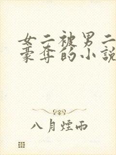 女二被男二强取豪夺的小说封面