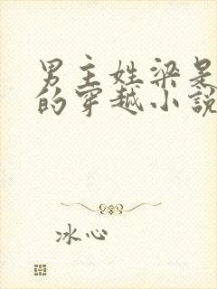 男主姓梁是太子的穿越小说