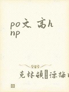 po文 高h np