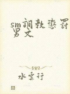 sm调教惩罚男男文封面