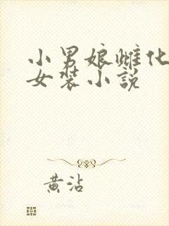 小男娘雌化洗脑女装小说