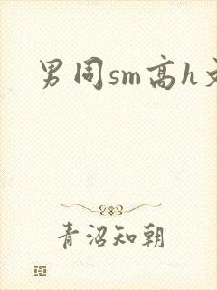 男同sm高h文
