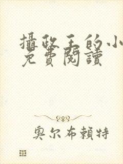 摄政王的小娇妻免费阅读封面