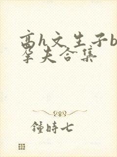 高h文生子bl孕夫合集