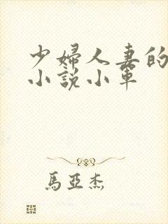 少妇人妻的欲望小说小军