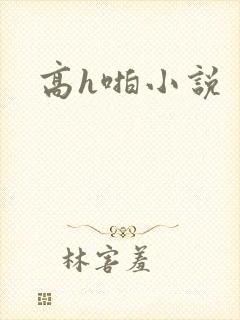 高h啪小说