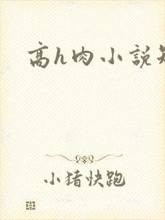 高h肉小说短篇