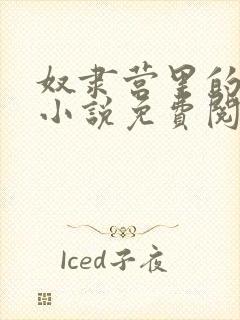 奴隶营里的公主小说免费阅读全文