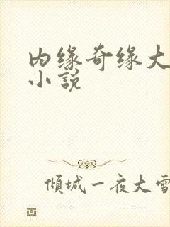 内缘奇缘大团圆小说