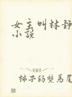 女主叫林静姝的小说封面