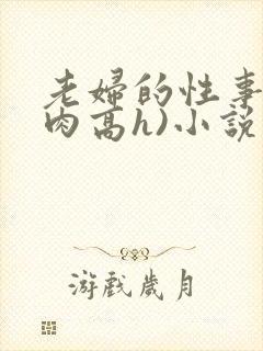老妇的性事(纯肉高h)小说