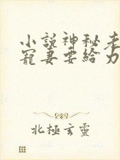 小说神秘老公之宠妻要给力