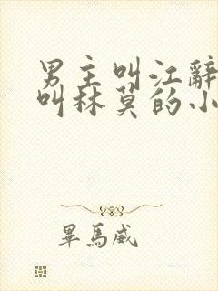 男主叫江辞女主叫林莫的小说