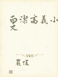 白洁高义小说全文封面