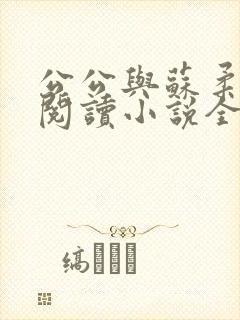 公公与苏柔免费阅读小说全文