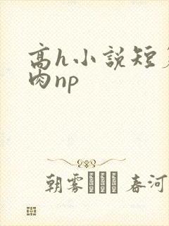 高h小说短篇纯肉np