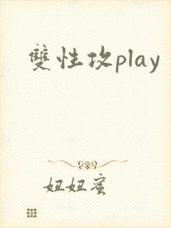 双性攻play