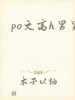 po文高h男男