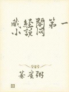 藏经阁第一版主小说网