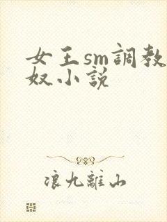 女王sm调教男奴小说封面