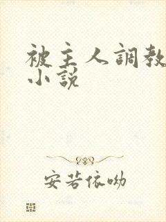 被主人调教惩罚小说封面