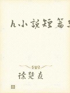 h小说短篇集合封面