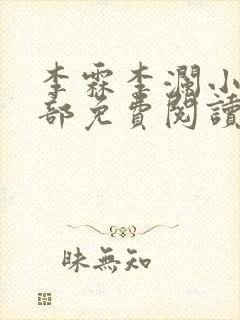 李霖李澜小说全部免费阅读