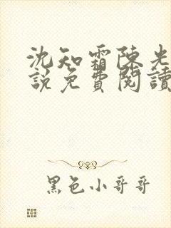 沈知霜陈光阳小说免费阅读封面