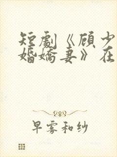 短剧《顾少的闪婚娇妻》在线观看