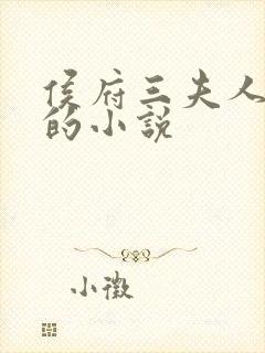 侯府三夫人重生的小说