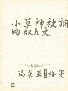 小草神被调教成肉奴h文封面