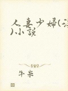 人妻少妇(淫篇)小说