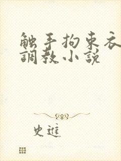 触手拘束衣淫堕调教小说