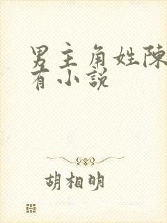 男主角姓陈的所有小说封面