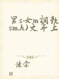 男s女m调教(sm,h)文年上