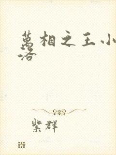 万相之王小说李洛