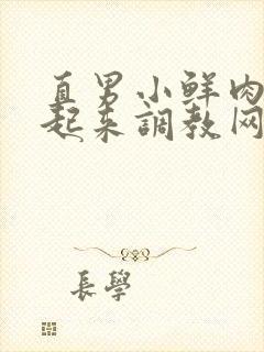 直男小鲜肉被绑起来调教网站封面