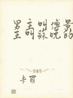 男主叫傅景琛女主叫苏晚的小说