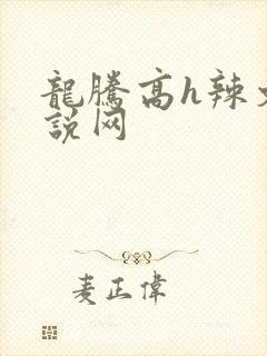 龙腾高h辣文小说网封面