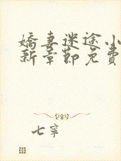 娇妻迷途小说最新章节免费阅读