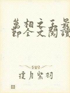 万相之王最新章节全文阅读封面