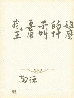 我妻子的姐姐女主角叫什么