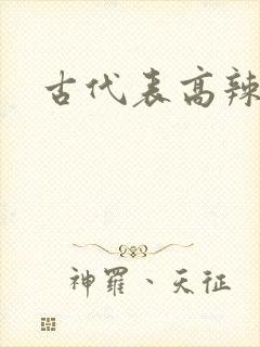 古代表高辣h文