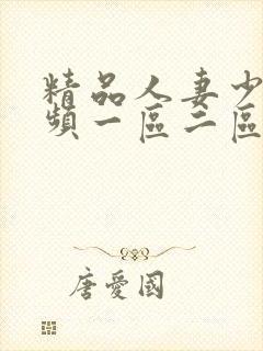 精品人妻少妇视频一区二区