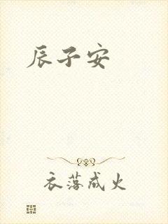 辰子安封面